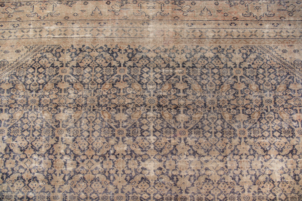 ANATOLIAN RUG, AR31460, 11'7" X 14'10"
