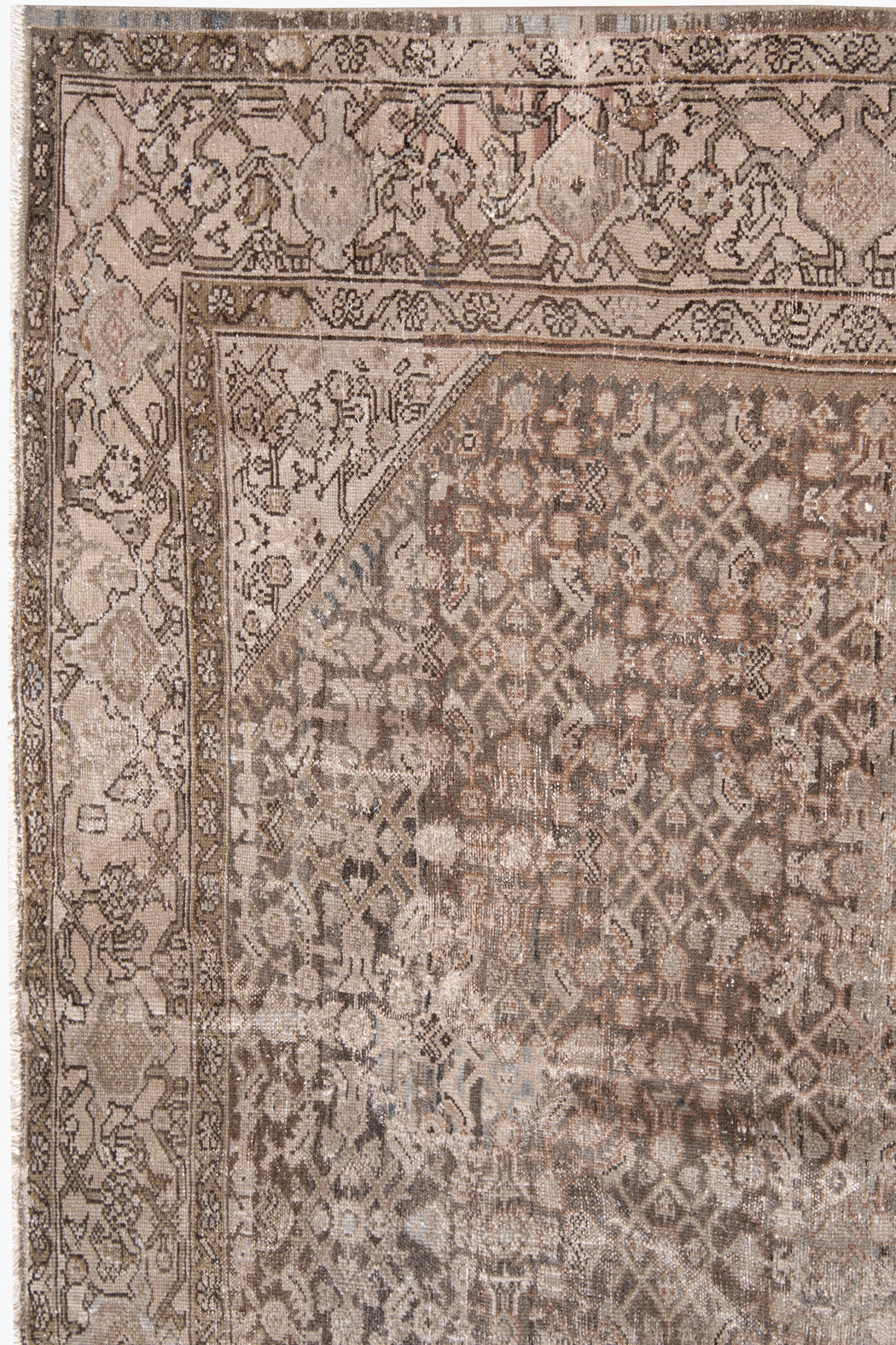 AR31473, MALAYIR RUG, WEST PERSIA, 8' X 9'9"