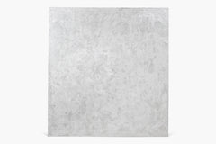 Silver 072 | Abbott