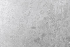 Silver 072 | Abbott