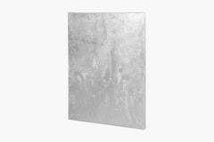 Silver 073 | Abbott