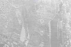 Silver 073 | Abbott