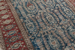MALAYIR RUG, AR30108/12488, WEST PERSIA, 3'3" X 15'1"