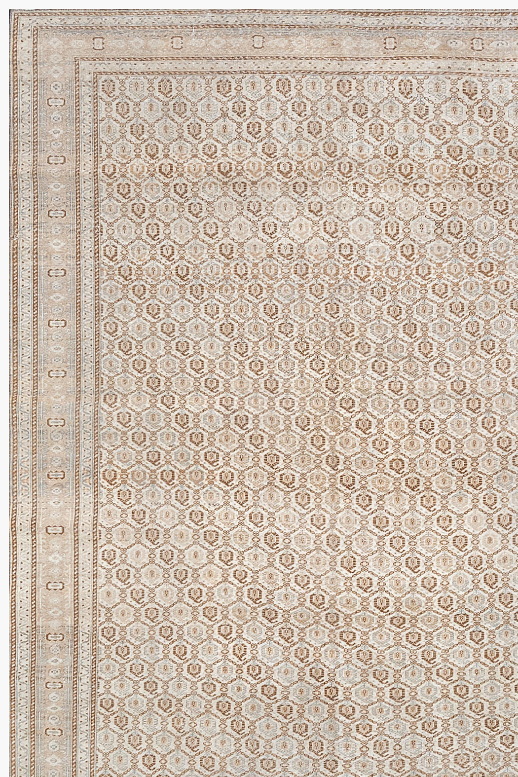 TABRIZ RUG, AR31048/9525, NORTH WEST PERSIA, 6' X 9'3"