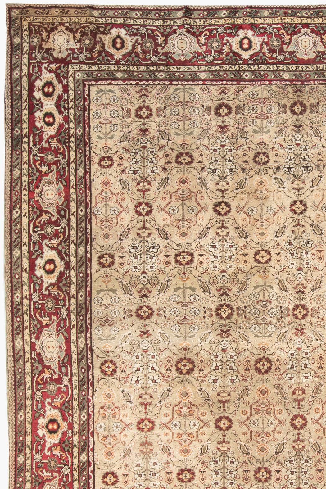 AGRA RUG,AR31175/1785, NORTH INDIA, 13' X 13'5"