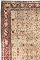 AGRA RUG,AR31175/1785, NORTH INDIA, 13' X 13'5"