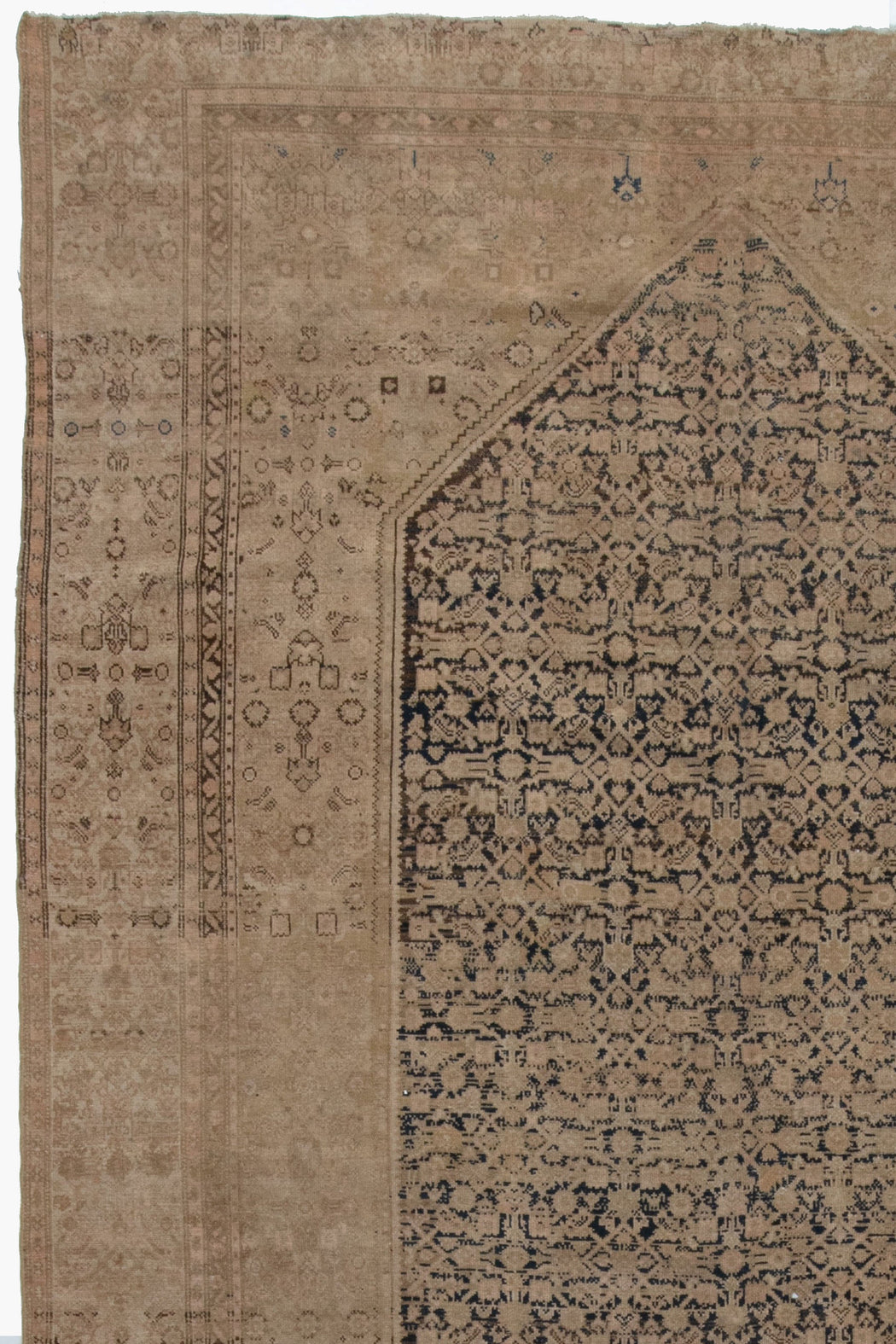 MALAYIR RUG, WEST PERSIA, 8'8" X 15'10"