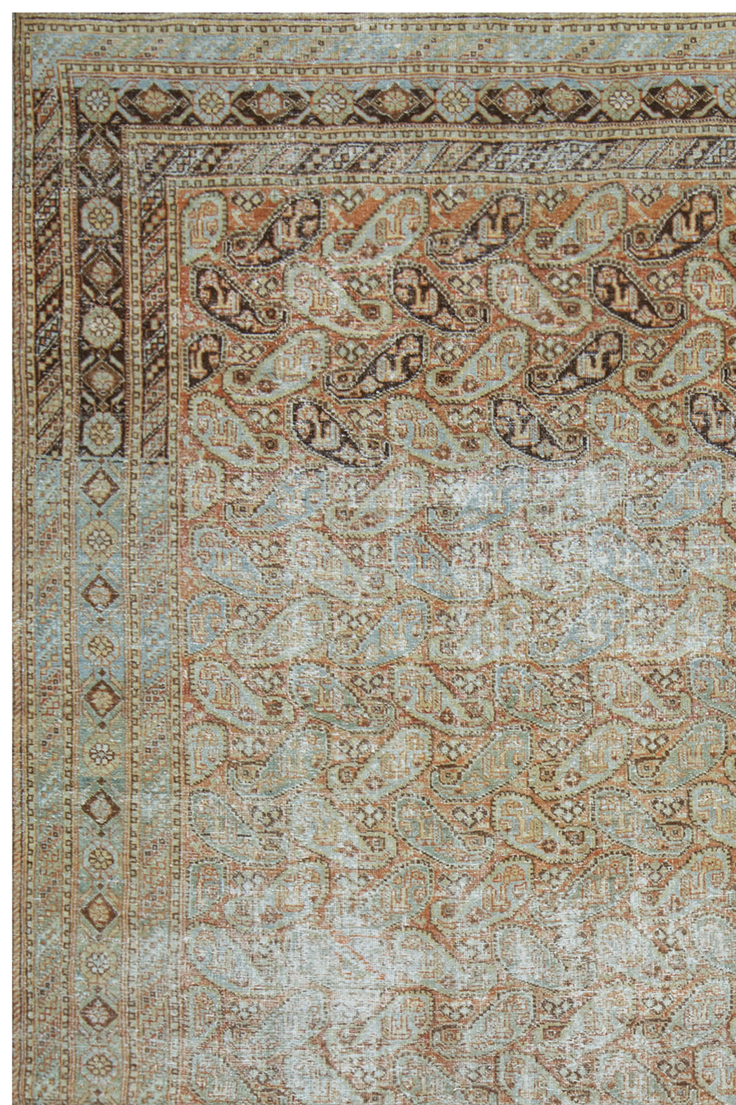MAHAL RUG, AR31224, WEST PERSIA, 7' X 10'7"