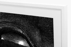 El Ojo - Black and White