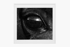 El Ojo - Black and White