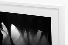 Caballo - Black and White