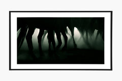 Caballo - Moss