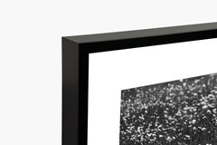 Las Flores - Black and White