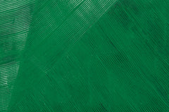 Palm 2 | Abbott