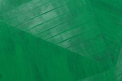 Palm 2 | Abbott