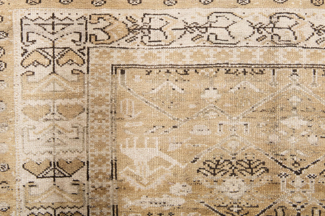 BC31009/11906, MALAYIR RUG, WEST PERSIA, 4' X 7'3"