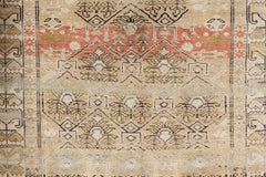 BC31009/11906, MALAYIR RUG, WEST PERSIA, 4' X 7'3"