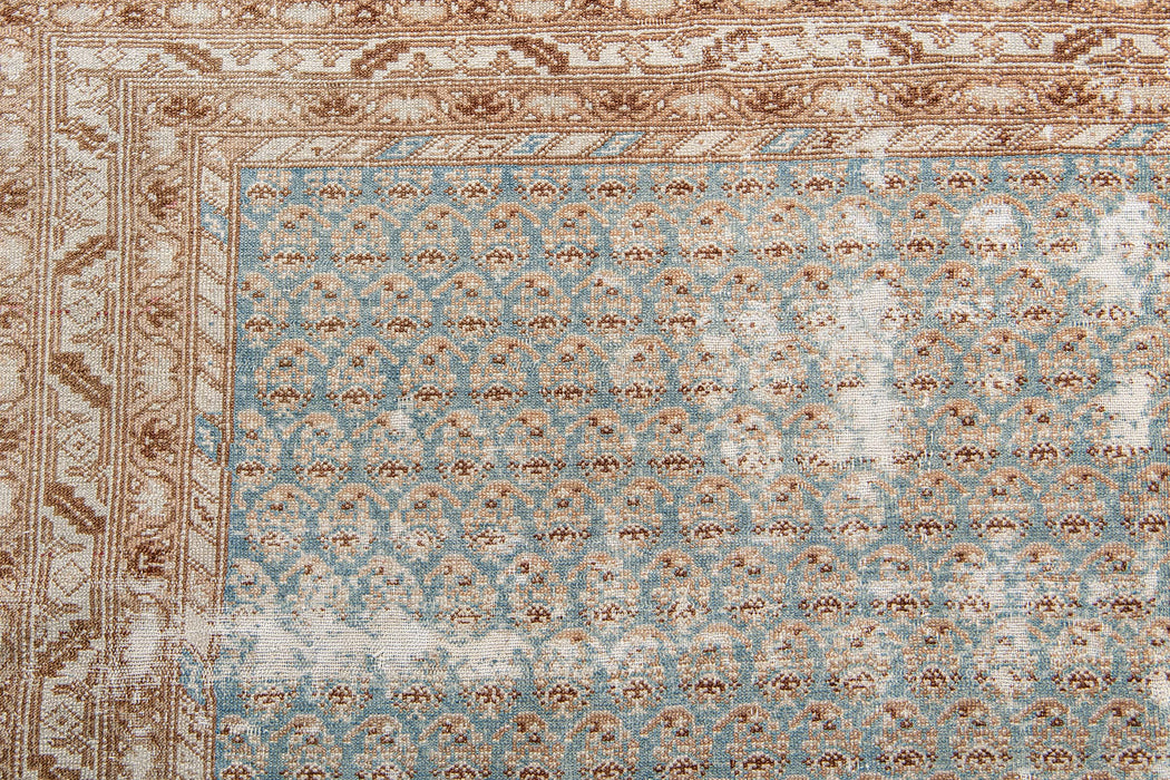 BC31023/14354, MALAYIR RUG, WEST PERSIA, 6'6" X 10'6"
