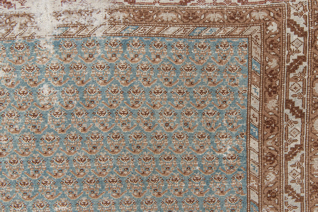 BC31023/14354, MALAYIR RUG, WEST PERSIA, 6'6" X 10'6"