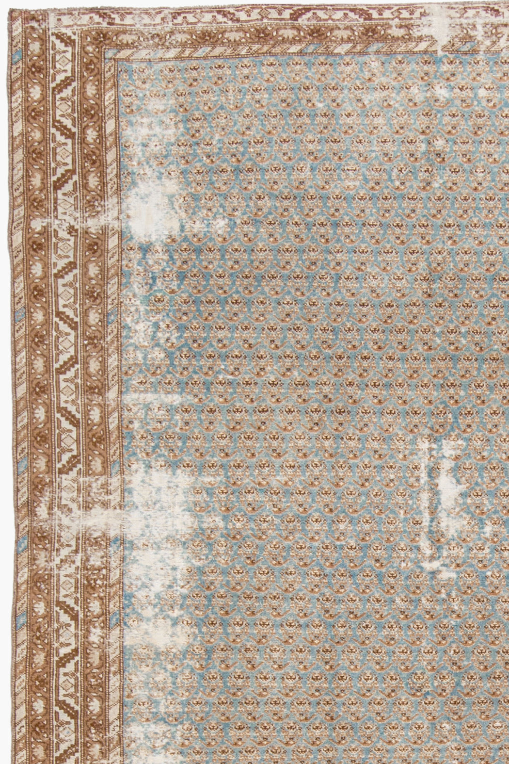 BC31023/14354, MALAYIR RUG, WEST PERSIA, 6'6" X 10'6"