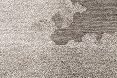 Cirra Rug – Taupe