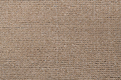 Sora Indoor / Outdoor – Camel