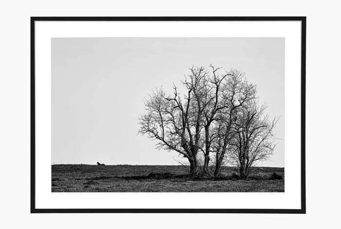 La Granja - Black and White