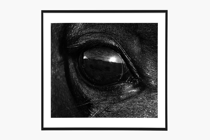 El Ojo - Black and White