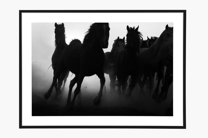 Galope - Black and White