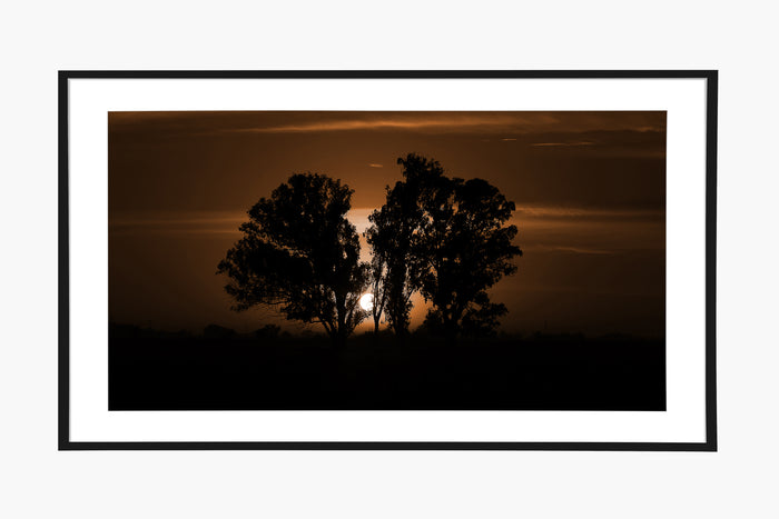 La Salida del Sol - Amber